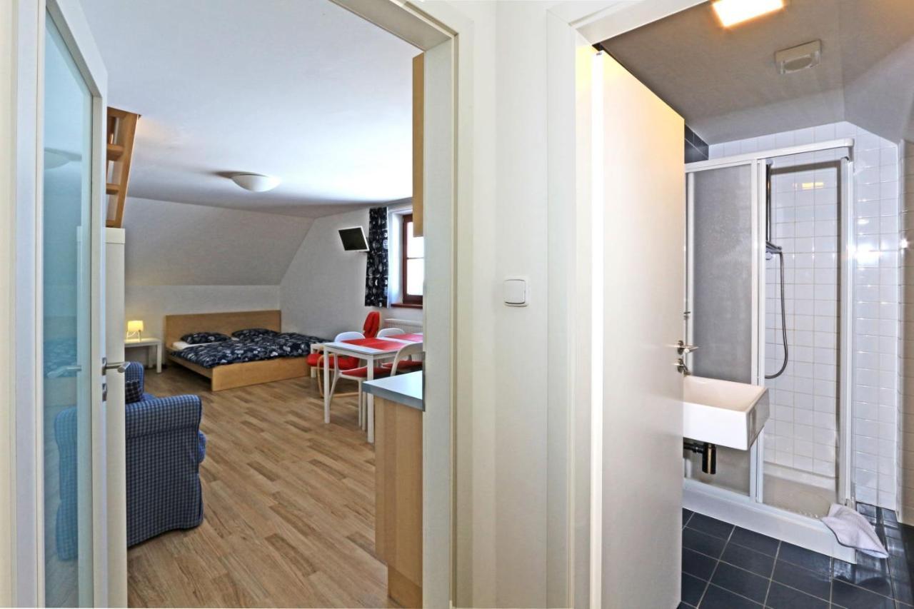 Apartmány Fox Boží Dar Kültér fotó